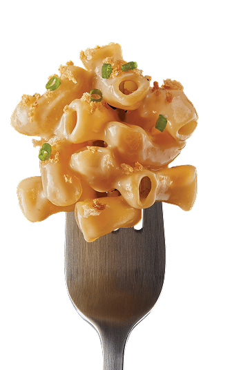 Elbow noodles on a fork