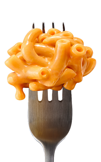 Macaroni noodles on a fork