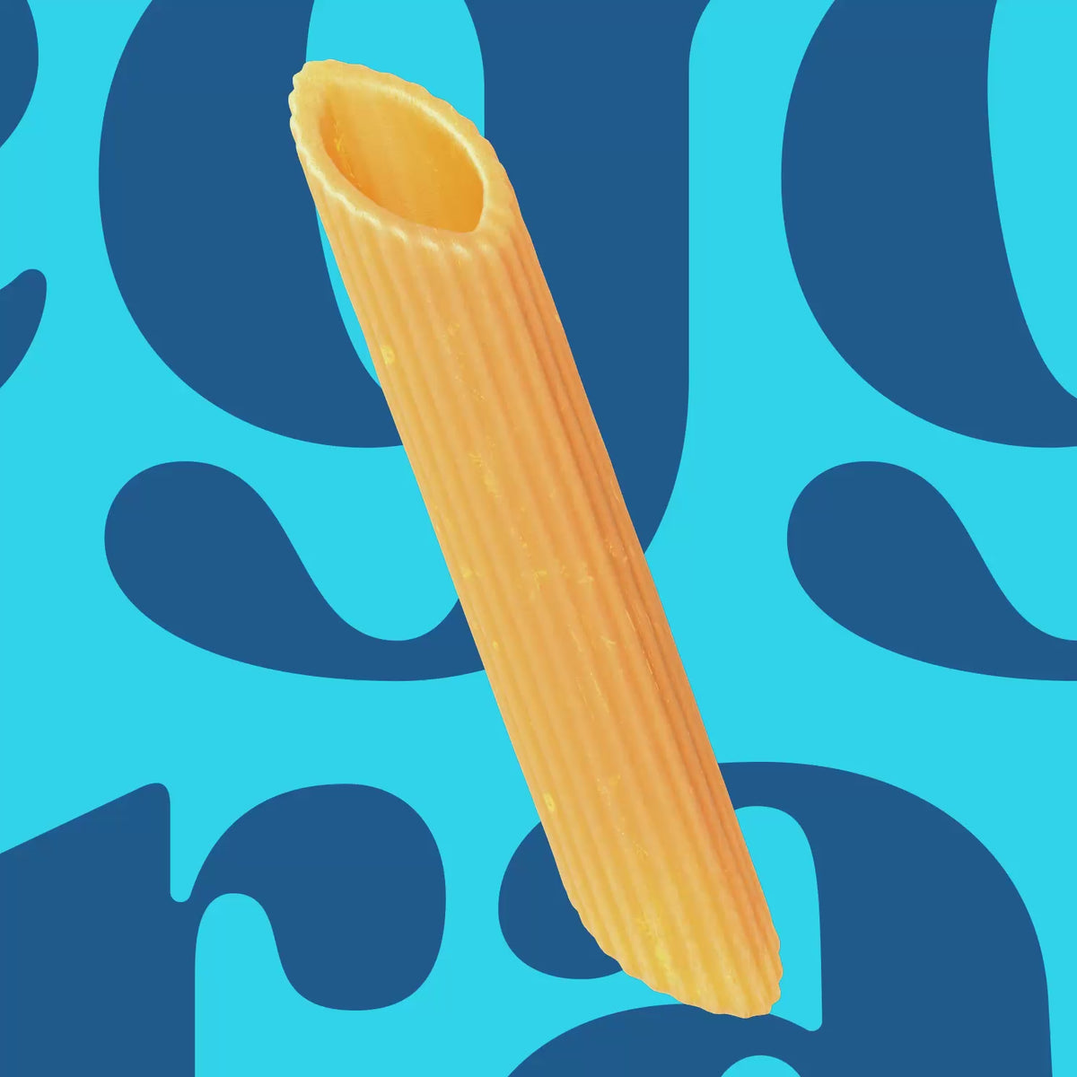 Zucchini Penne Pasta Zoom in